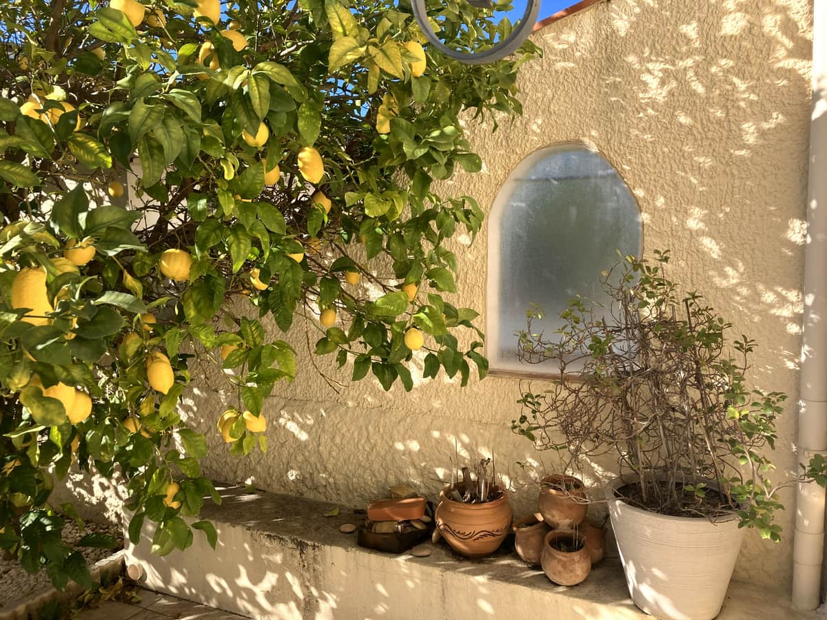 Exterior view – Rive gauche – Palavas-les-Flots